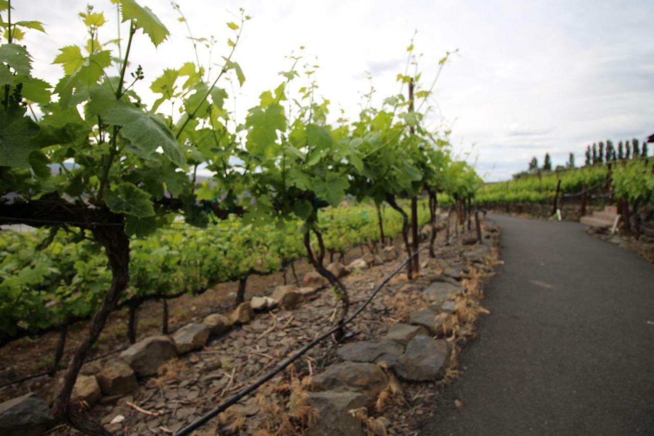Columbia River Gorge Retreat At Cave B Ridge Quincy エクステリア 写真