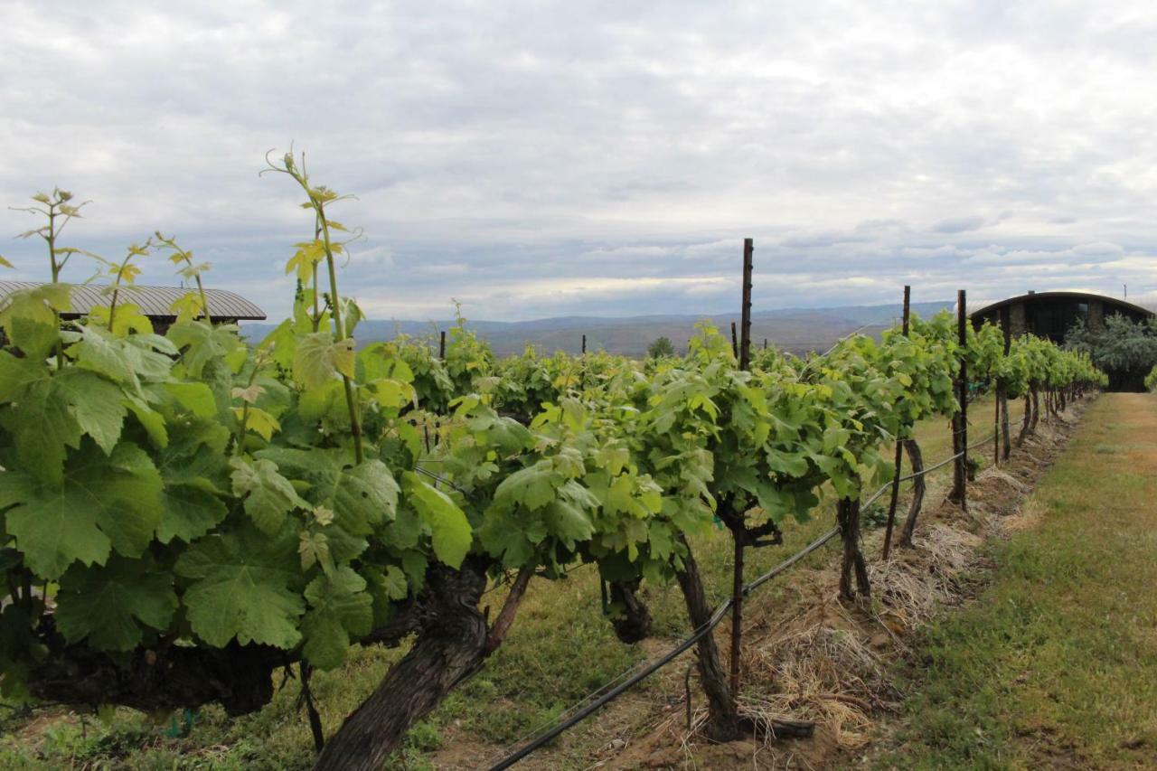 Columbia River Gorge Retreat At Cave B Ridge Quincy エクステリア 写真